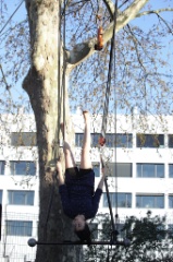 The toi 29 * 5616 x 3744 * (9.88MB)